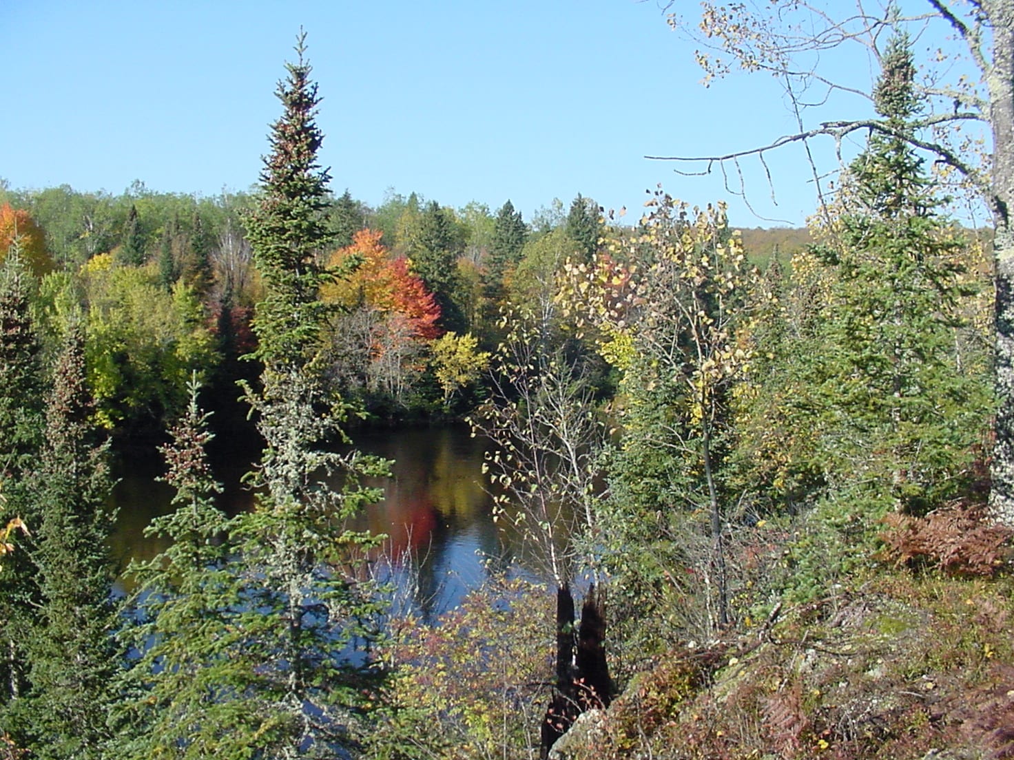 PRN8 Keweenaw Land Association, Limited